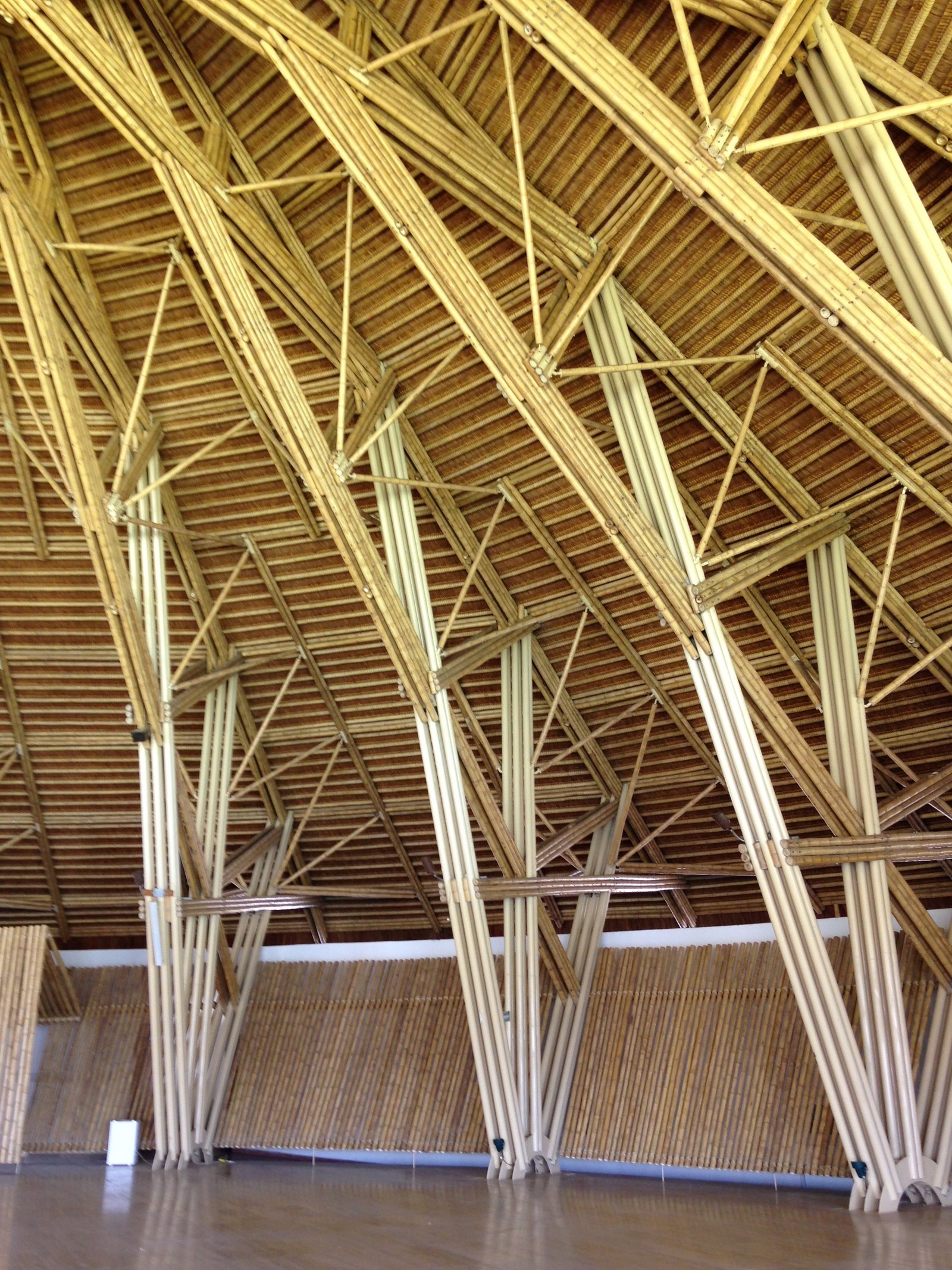 Semillero SEMBU Universidad Nacional de Colombia - Ensambles, arquitectura y diseño estructural en Guadua