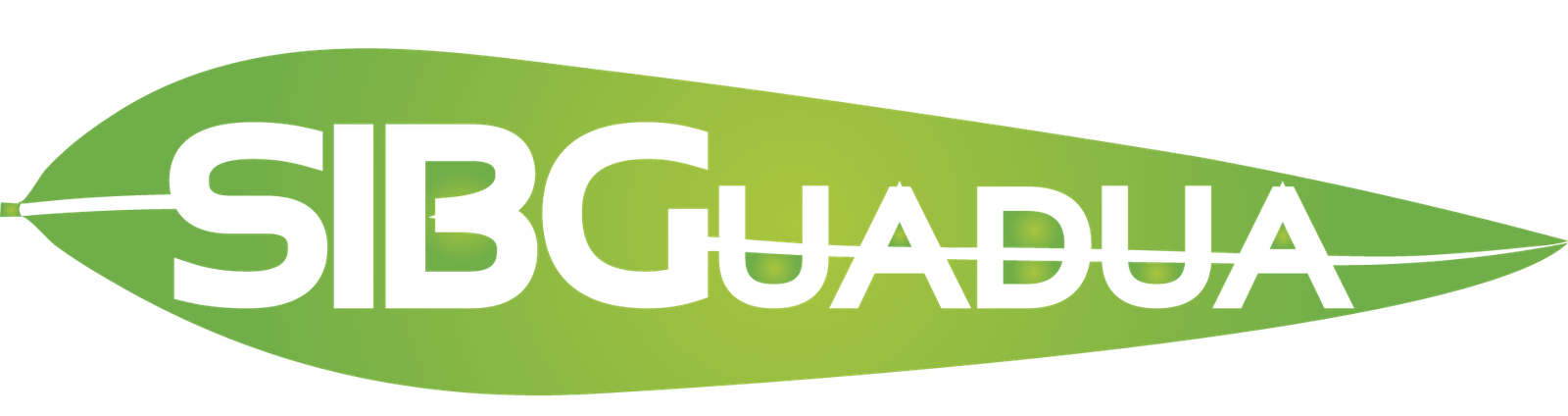 SIBGuadua Blanco